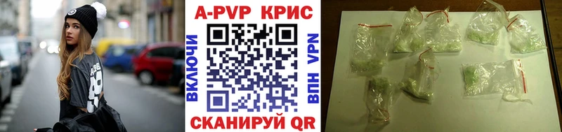 МЕФ Кингисепп