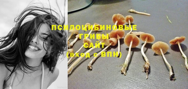 MDMA Протвино