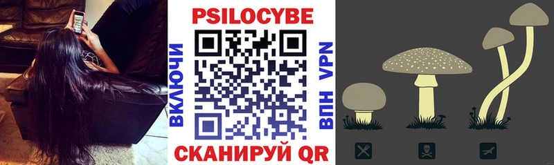 Псилоцибиновые грибы мухоморы  Купить  Кингисепп 